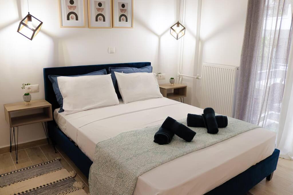 Harmony In Appartement