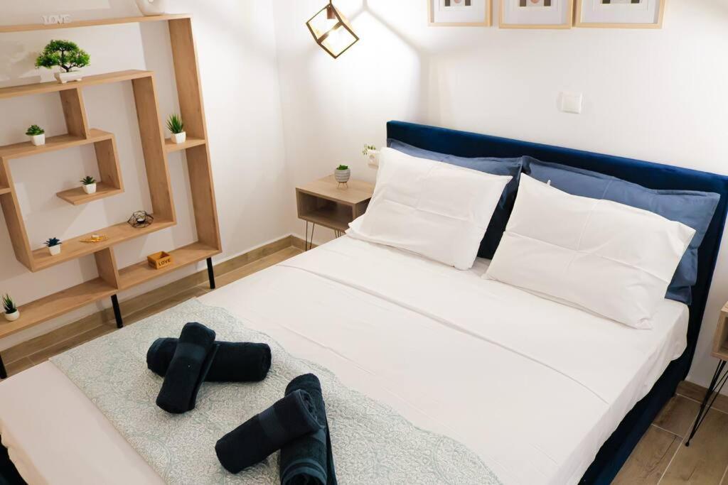 Apartment Harmony In *